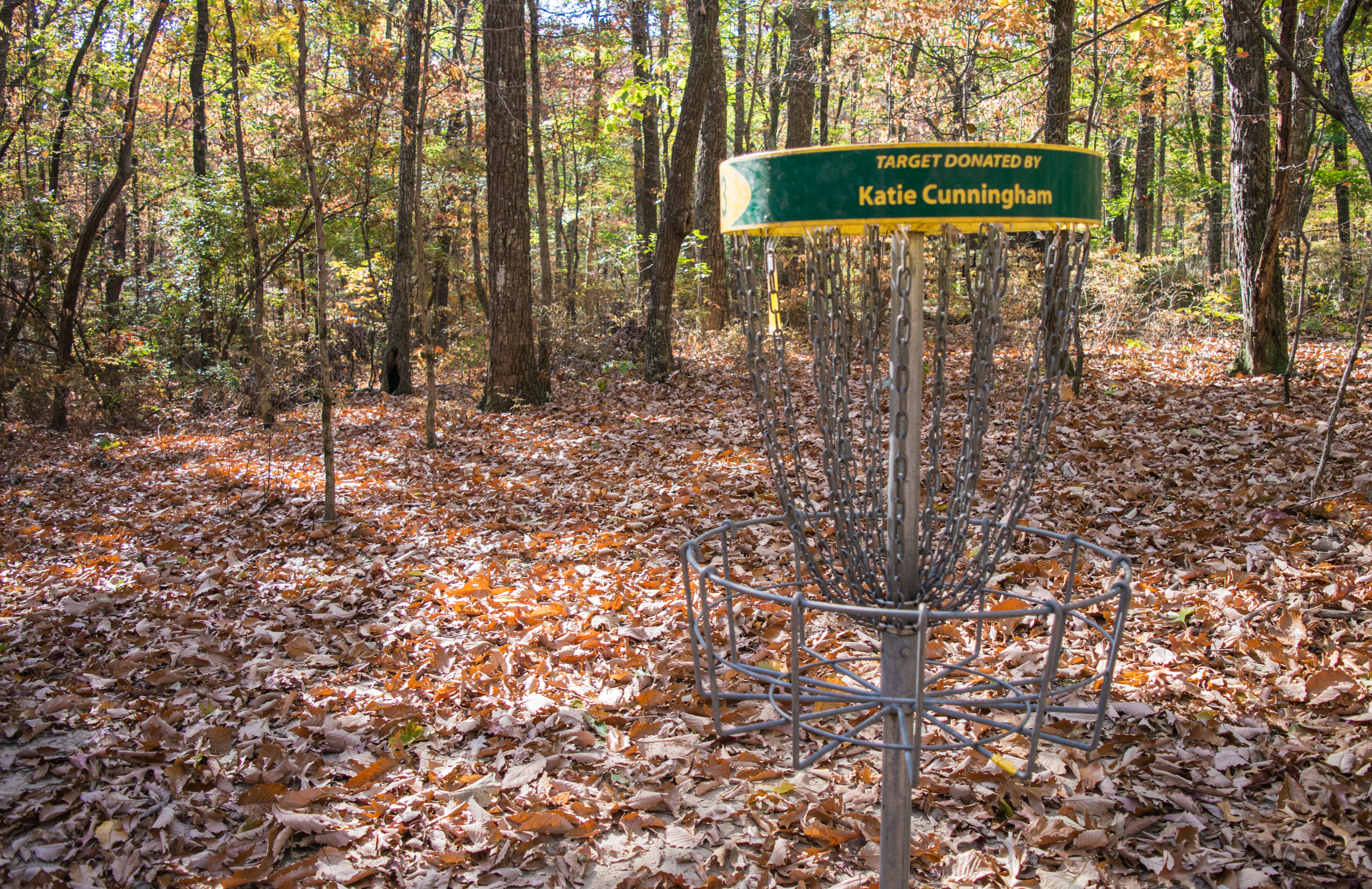 Disc Golf Target in Woods at Monte Sano State Park