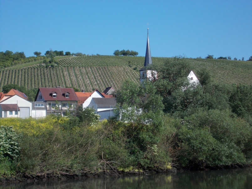 Vineyards and Spires on the Main River