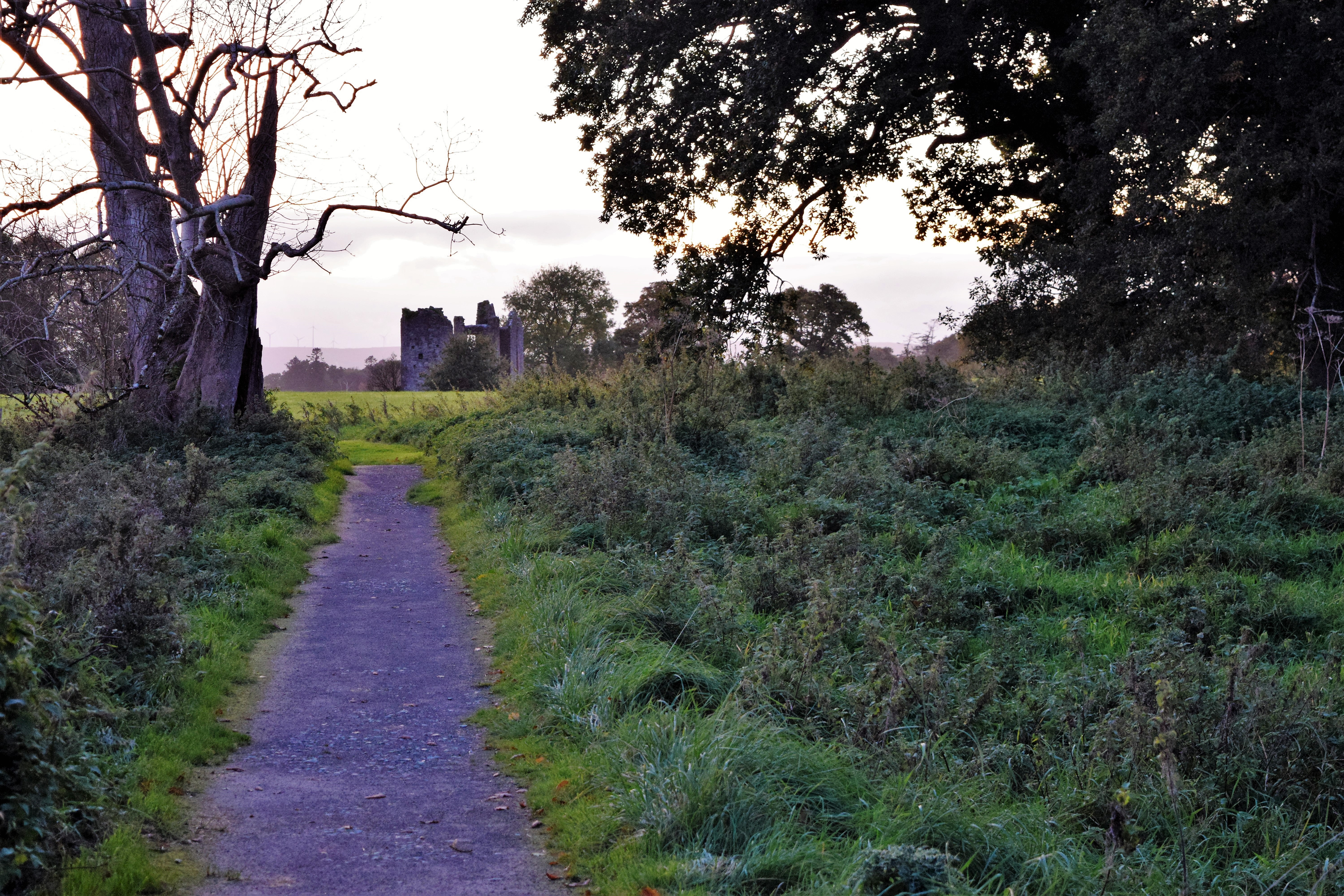 Walking to the castle ruins at Crom Estate