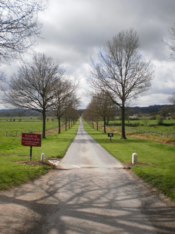 The Walk to Batsford Arboretum