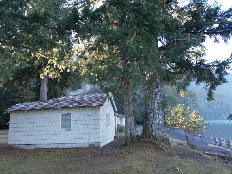 Roosevelt Cabins Face the Lake - Lake Crescent Lodge