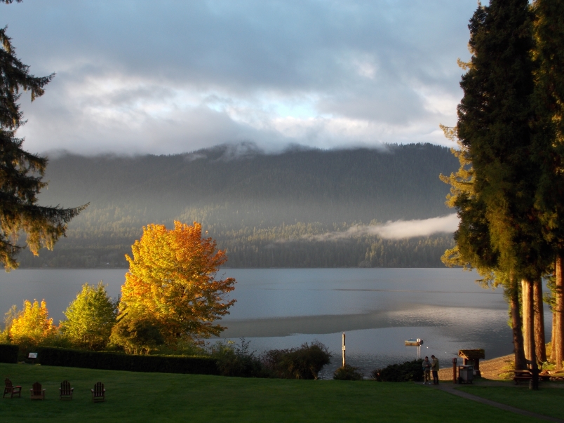 Morning at Lake Quinault Lodge