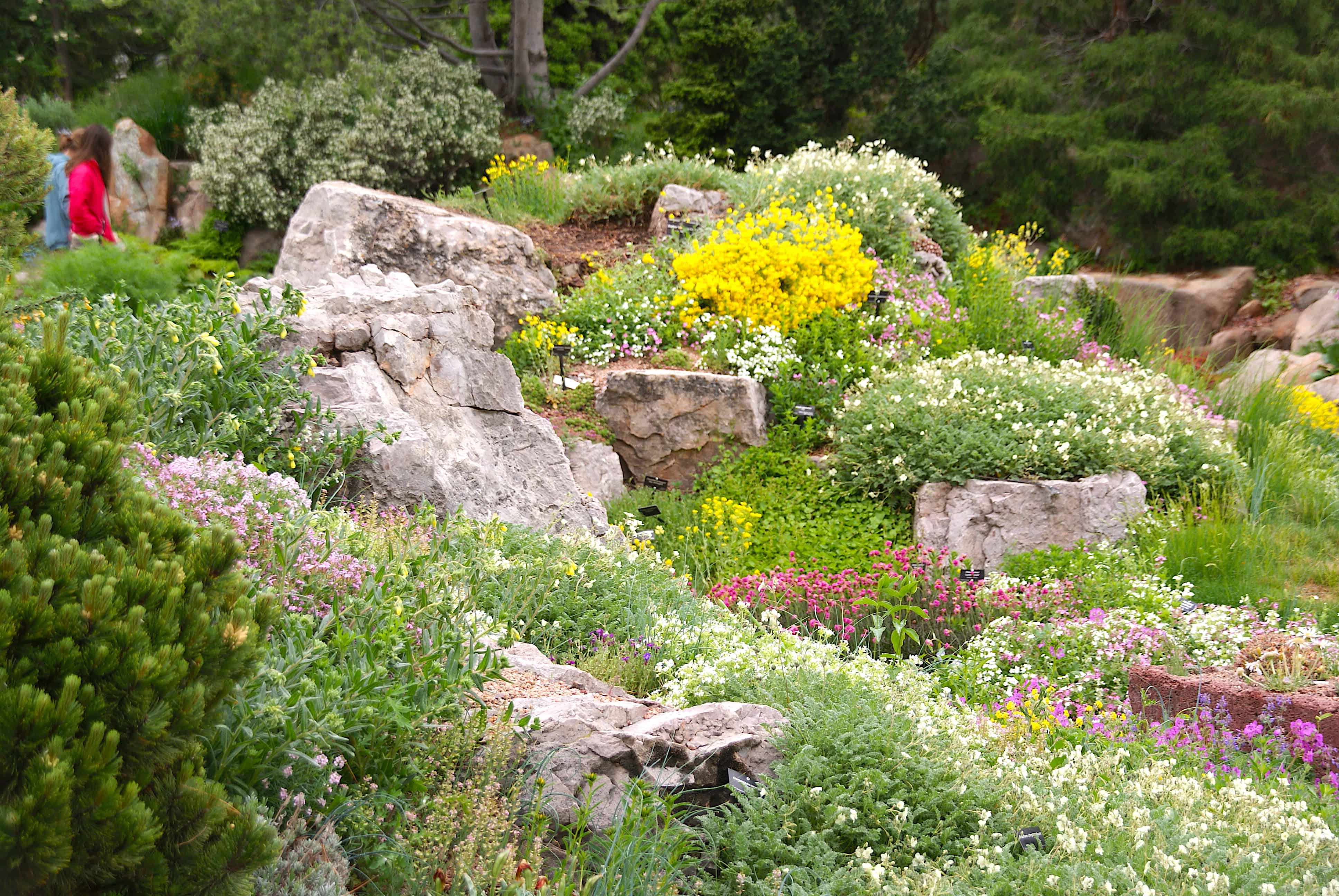Rock Garden Denver Botanical Garden