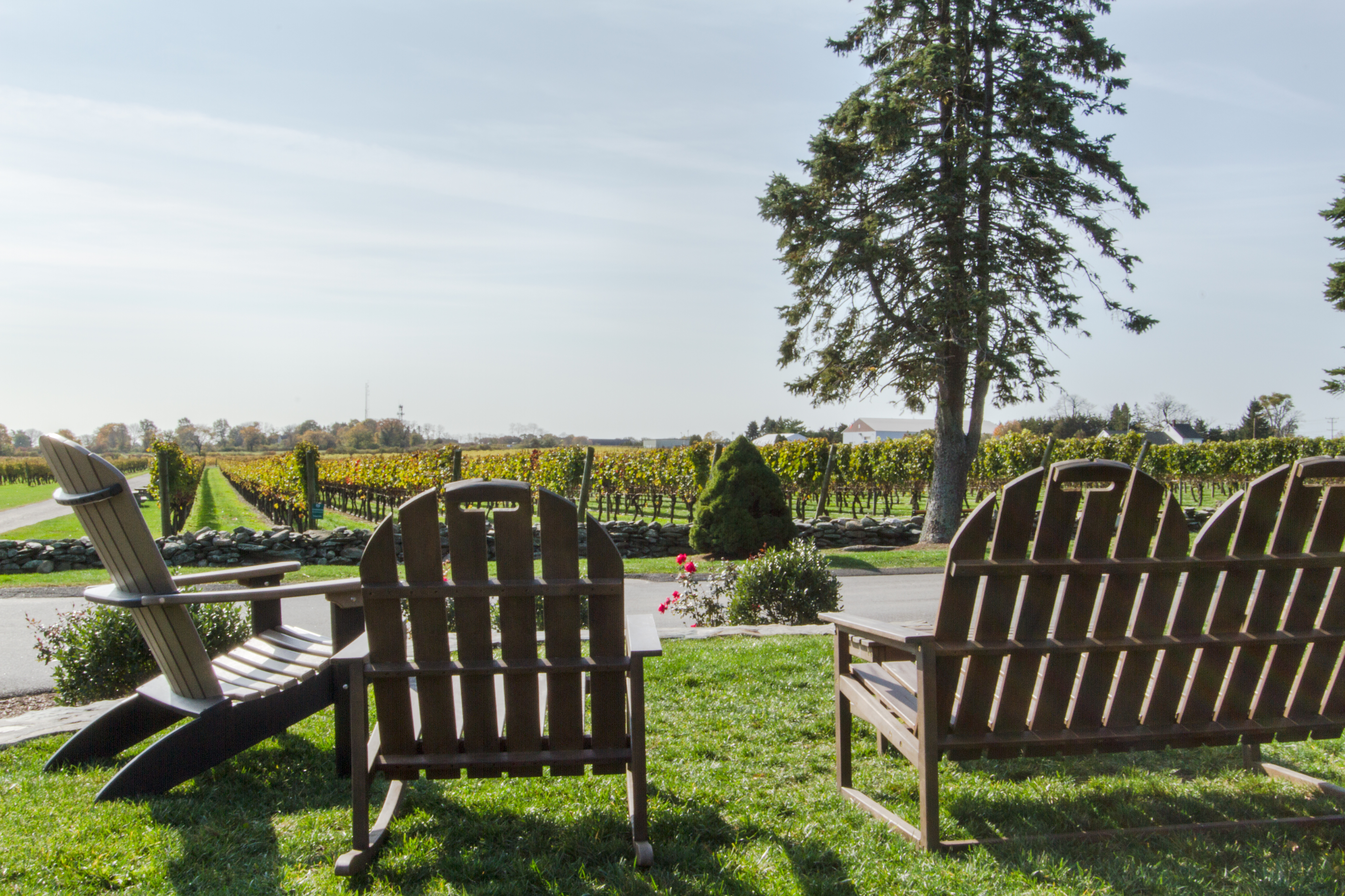 Seating outside of Newport Vineyards Cafe and Tasting Room