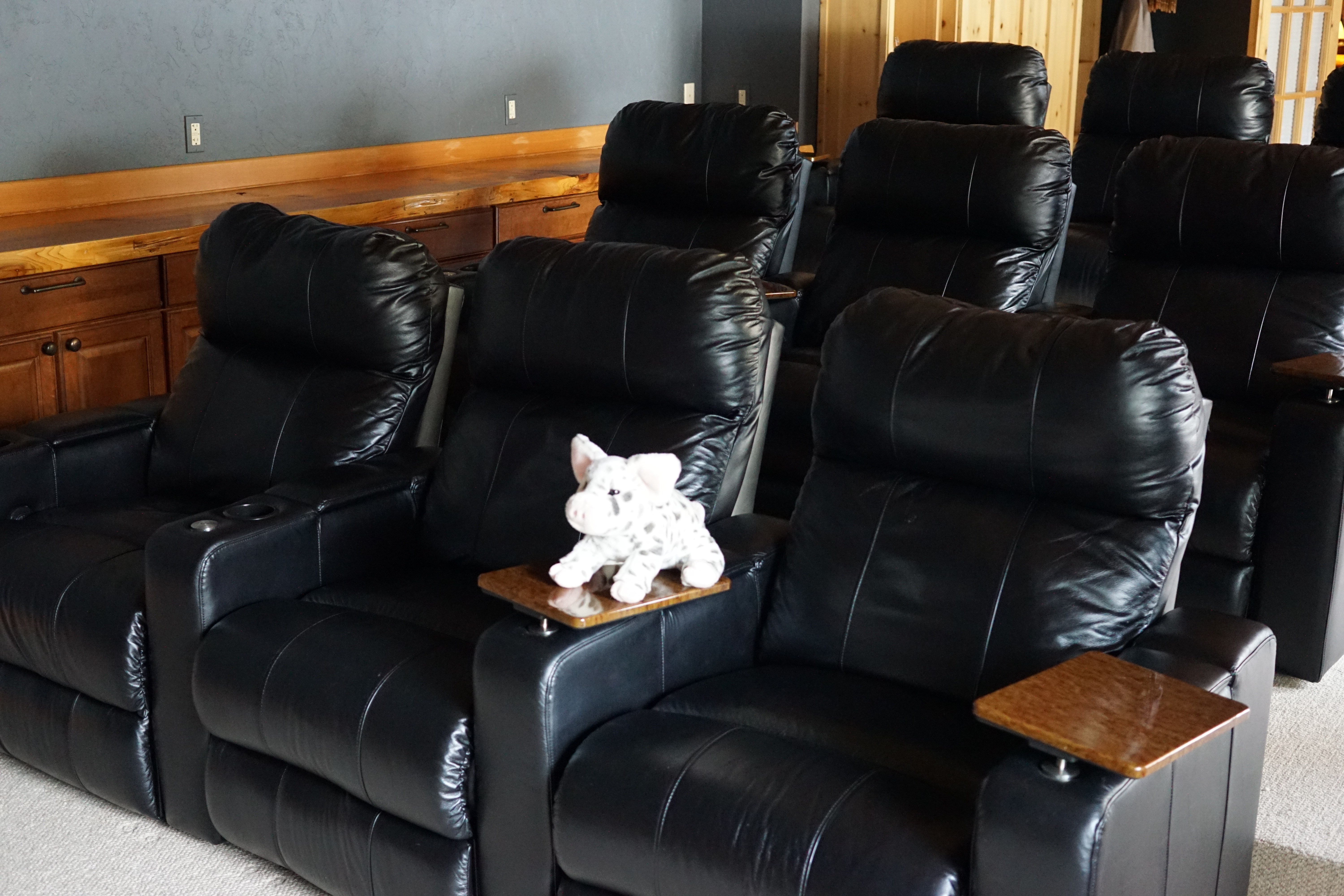 Grand river lodge theater room seating