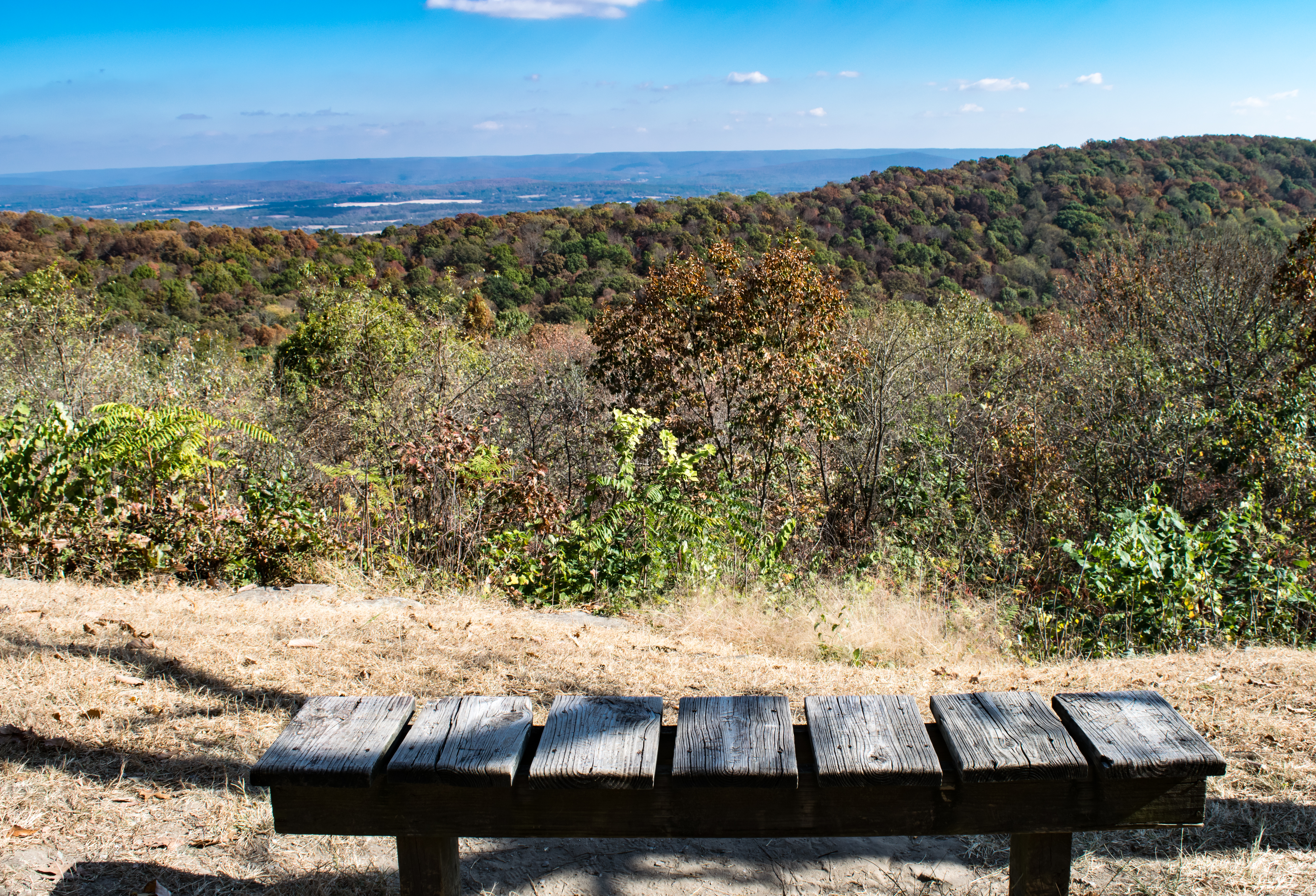 Scenic Overlook at Monte Sano State Park