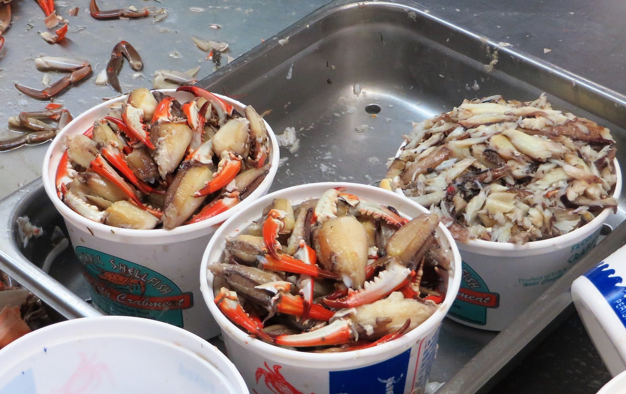 Beautiful crabmeat freshly prepared in Bayou La Batre - home of Abundant Seafood
