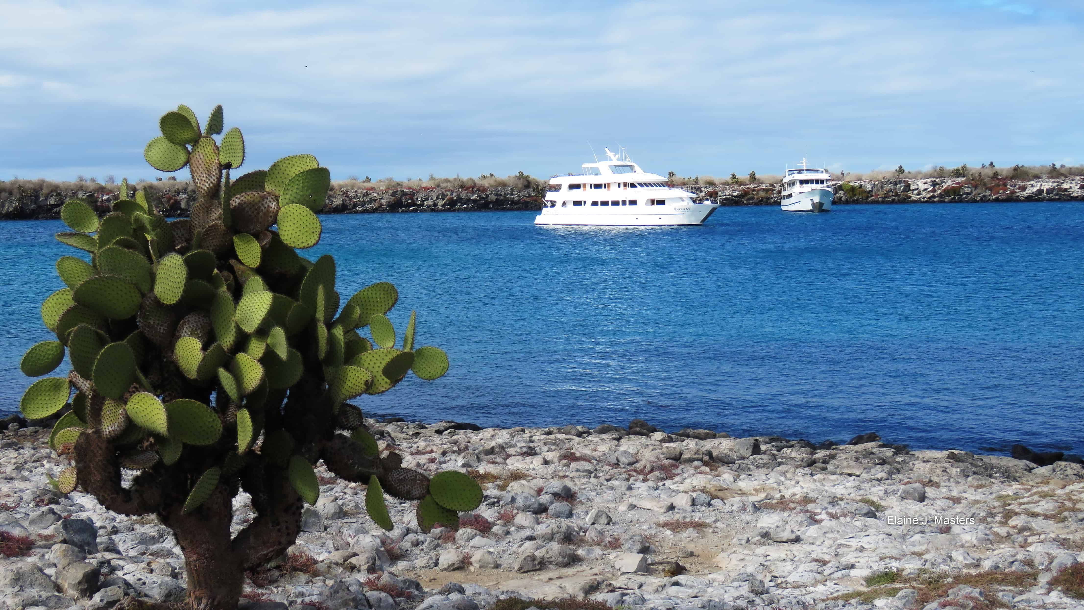 Galapagos Islands Cruise Ships