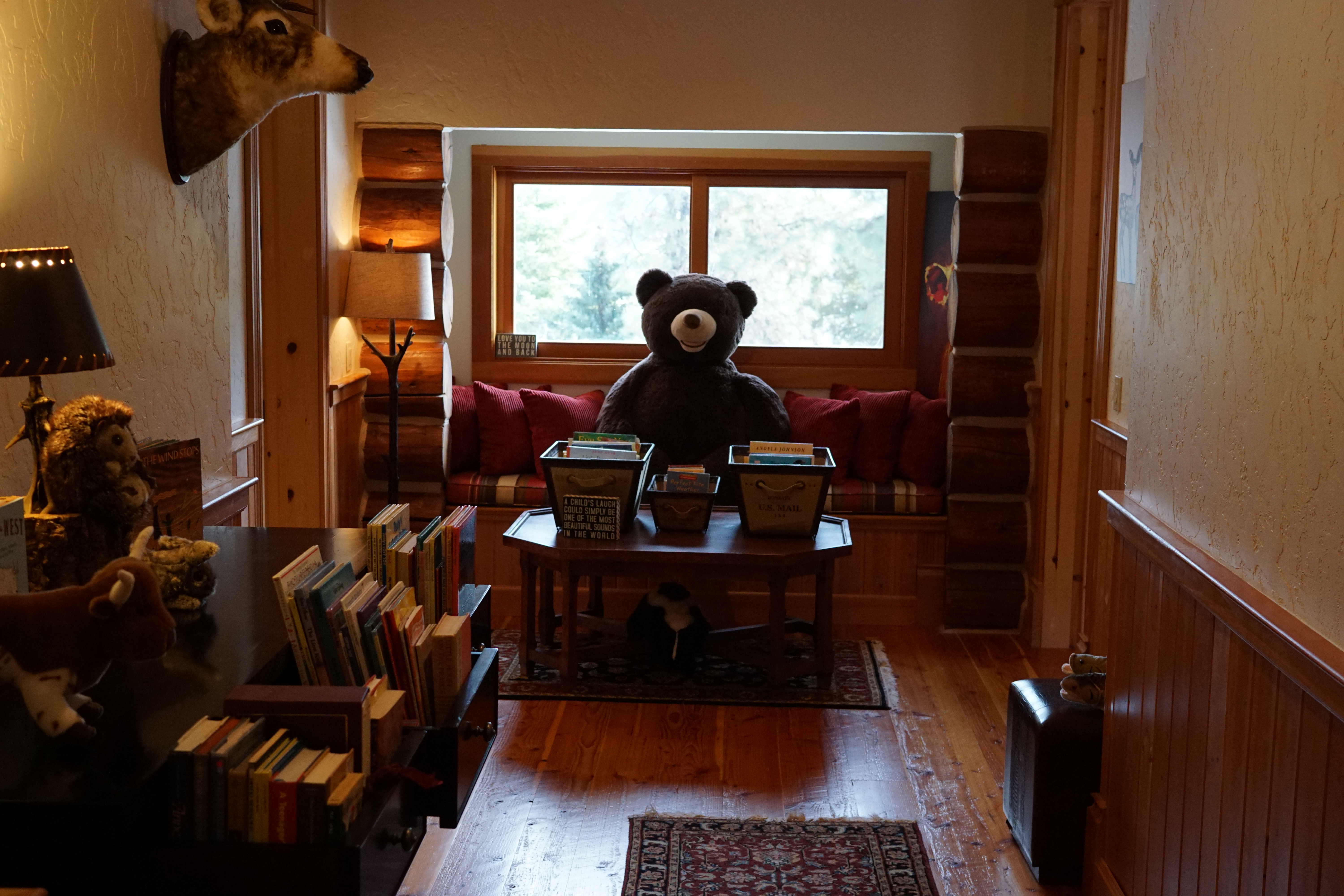 Grand River Lodge Kid's library