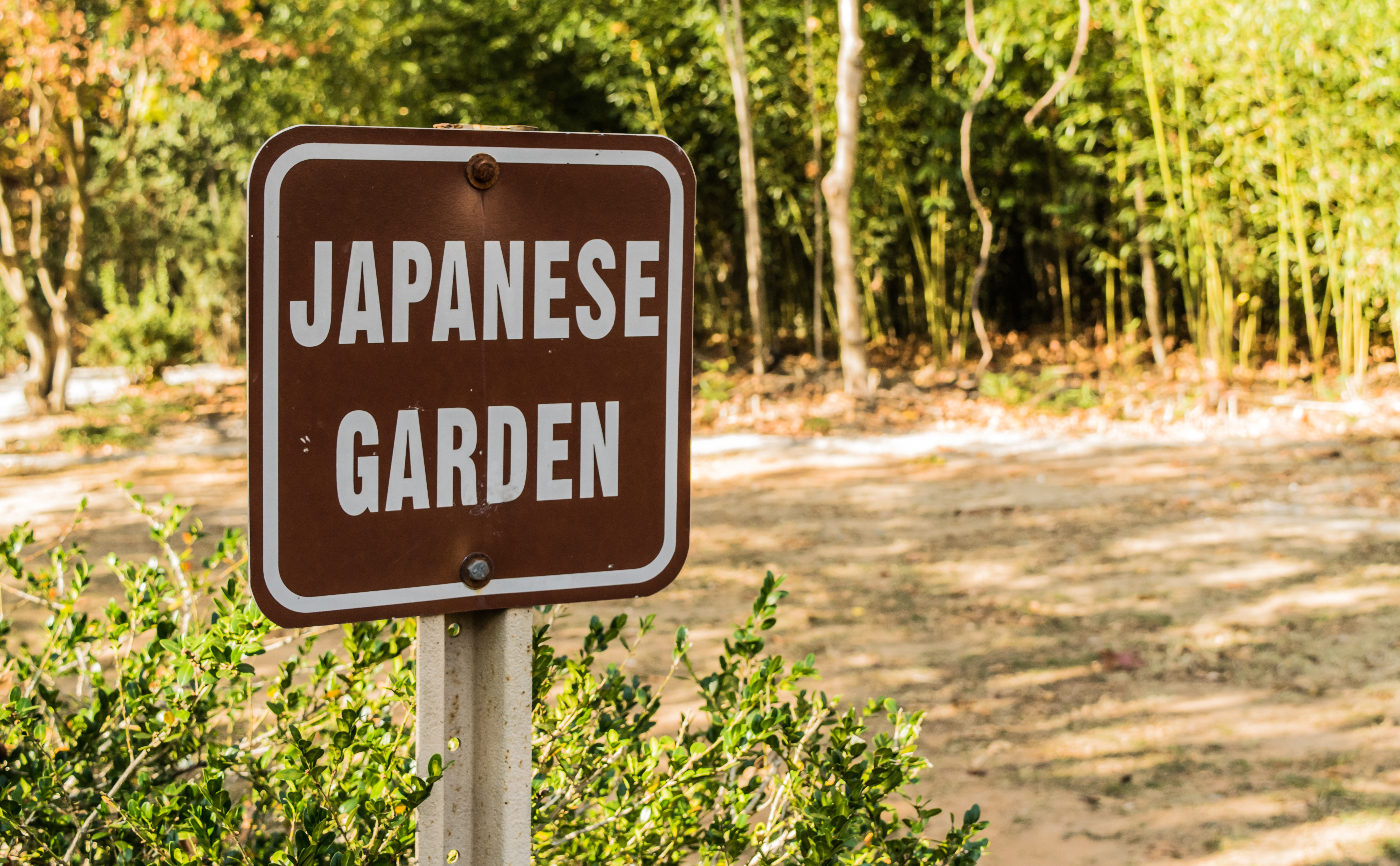 Japanese Garden Walking Path - Monte Sano State Park