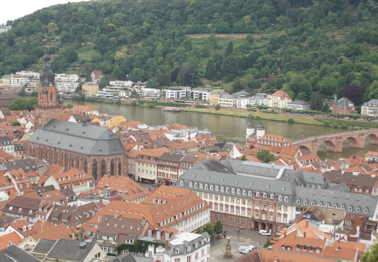 Heidelberg Feature