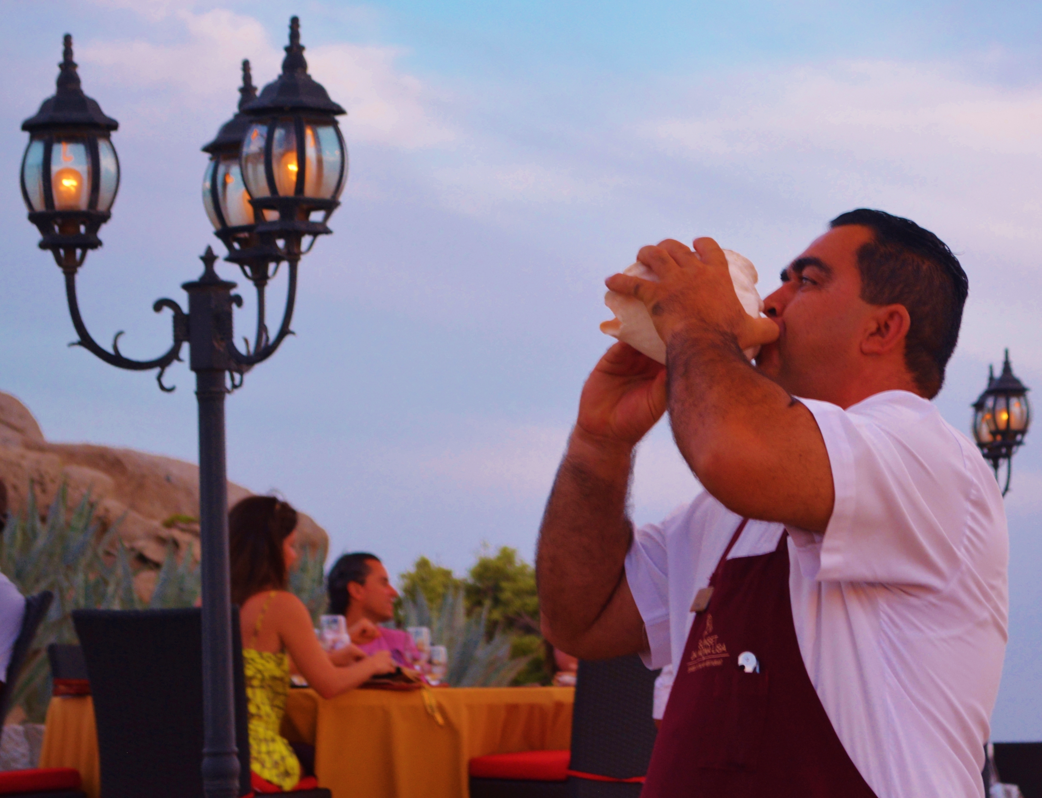 Summons to Sunset - Restaurants in Cabo San Lucas