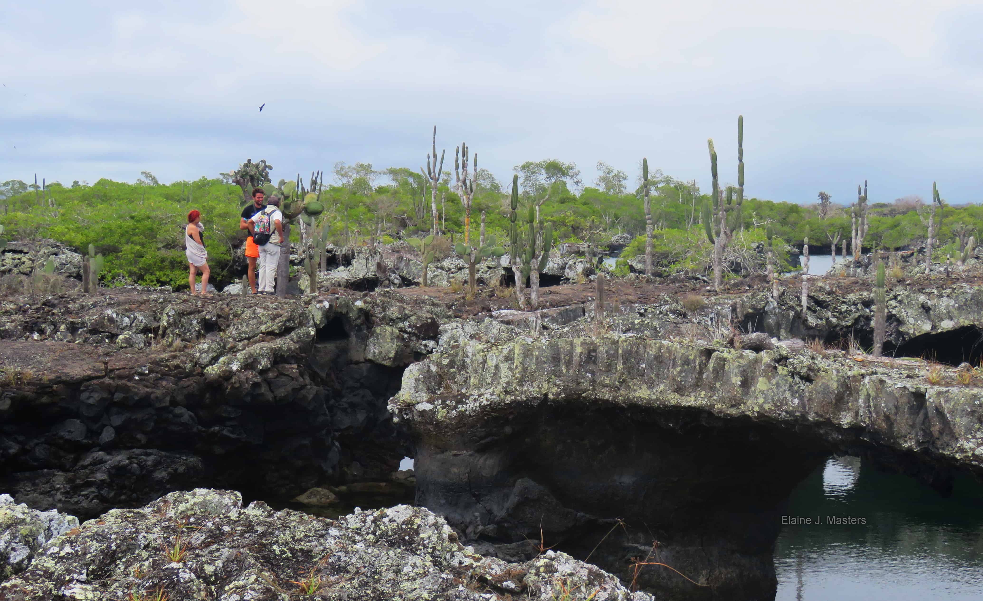 Isabela Island Volcanic Cave Tour Galapagos Islands