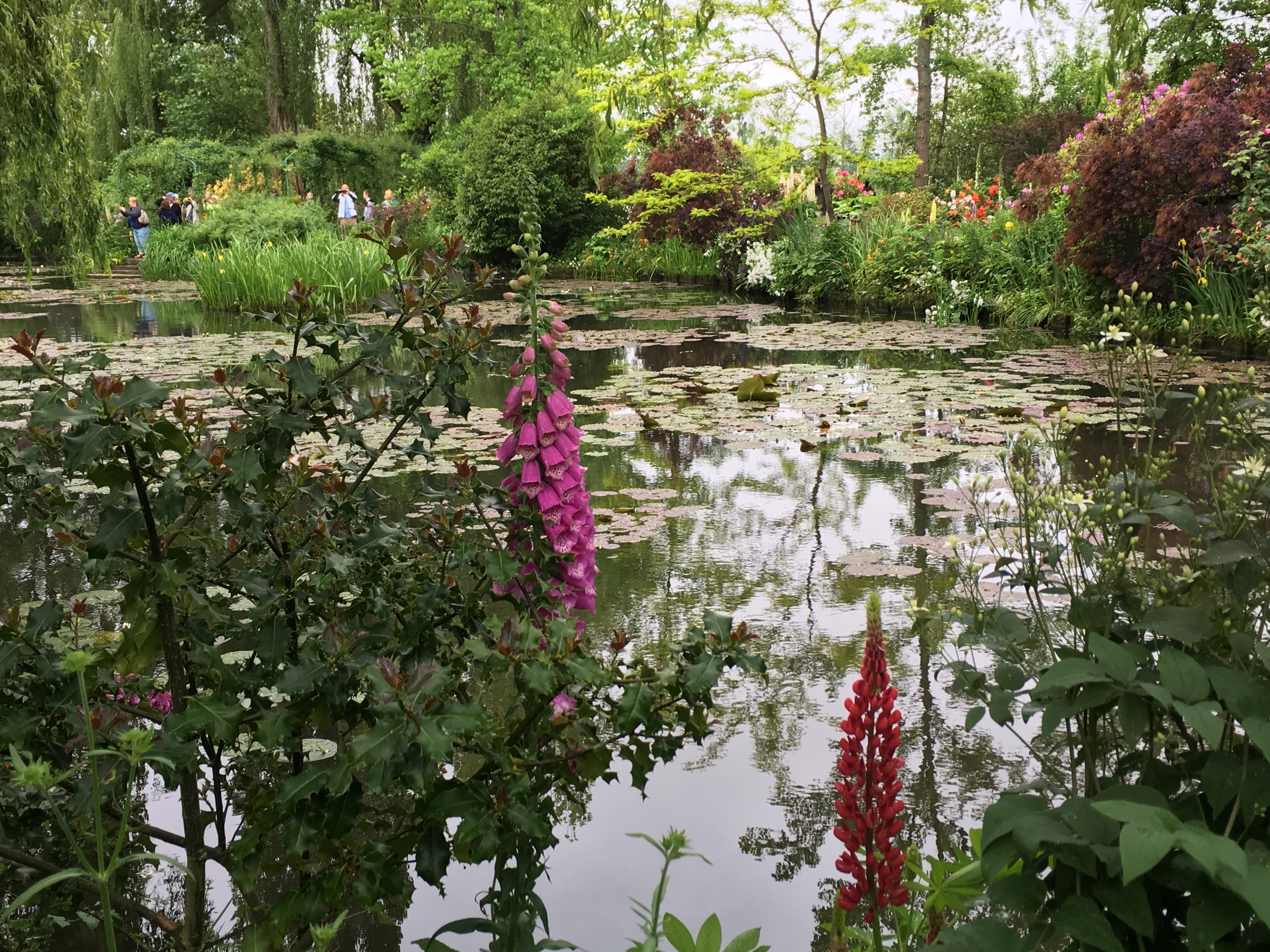 Monet's Garden in Giverny