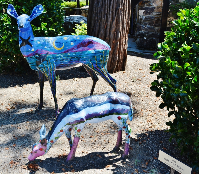 Painted Deer Project
