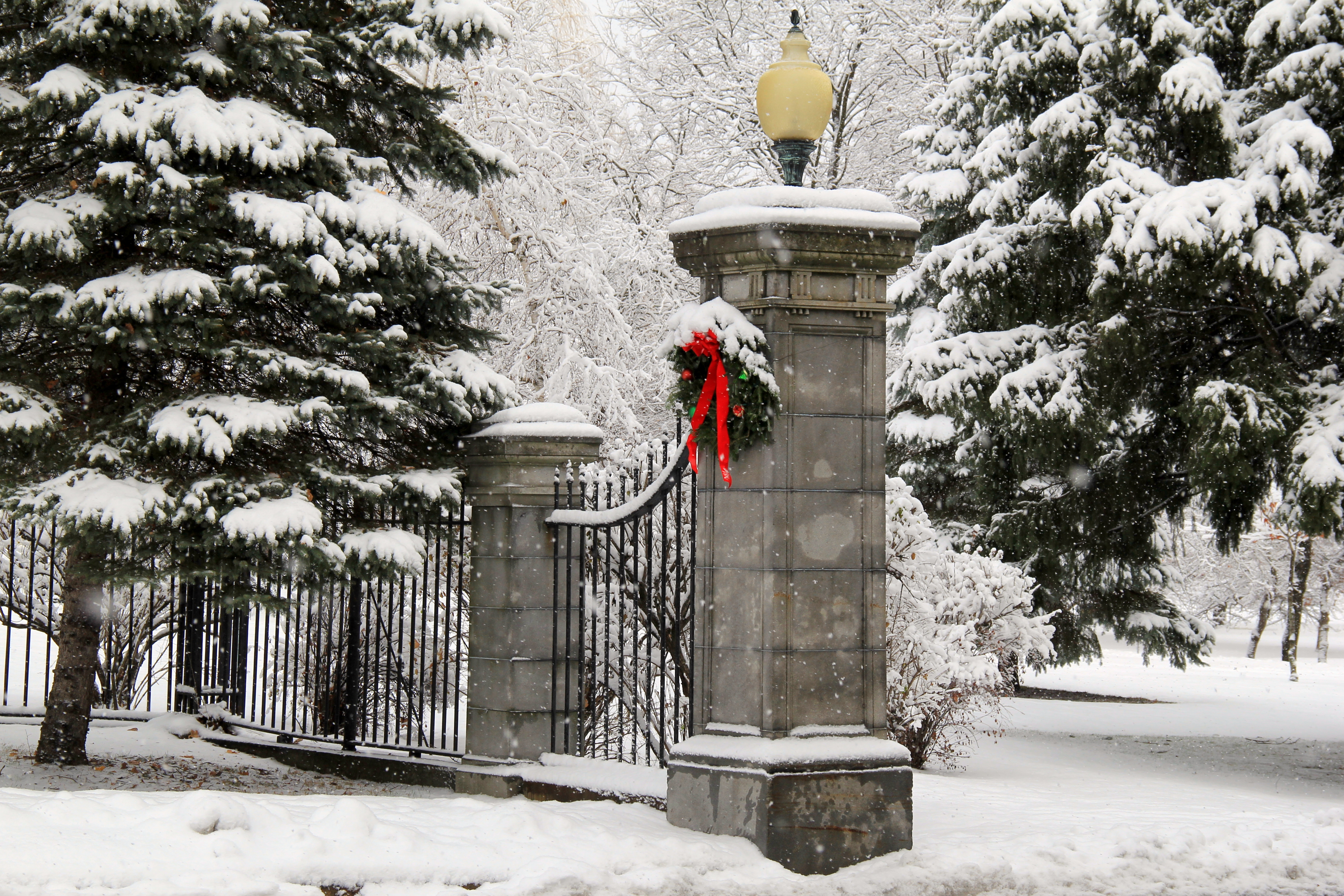 Christmas Wreath in the Snow Saratoga Springs