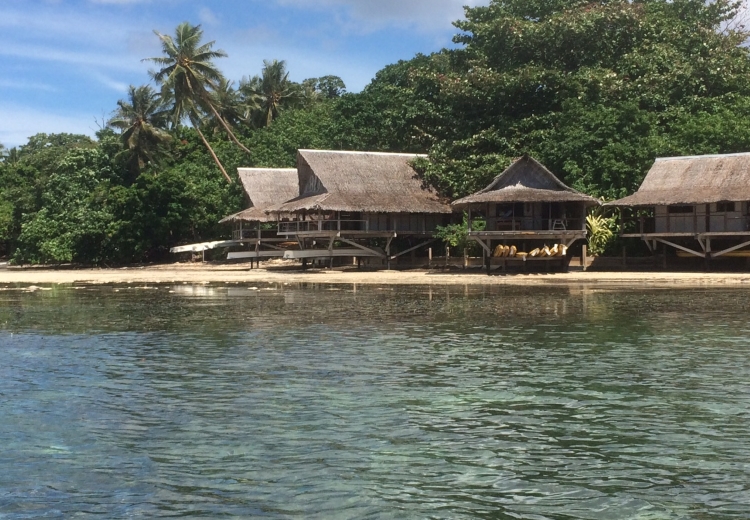 Nusa Island Retreat Feature