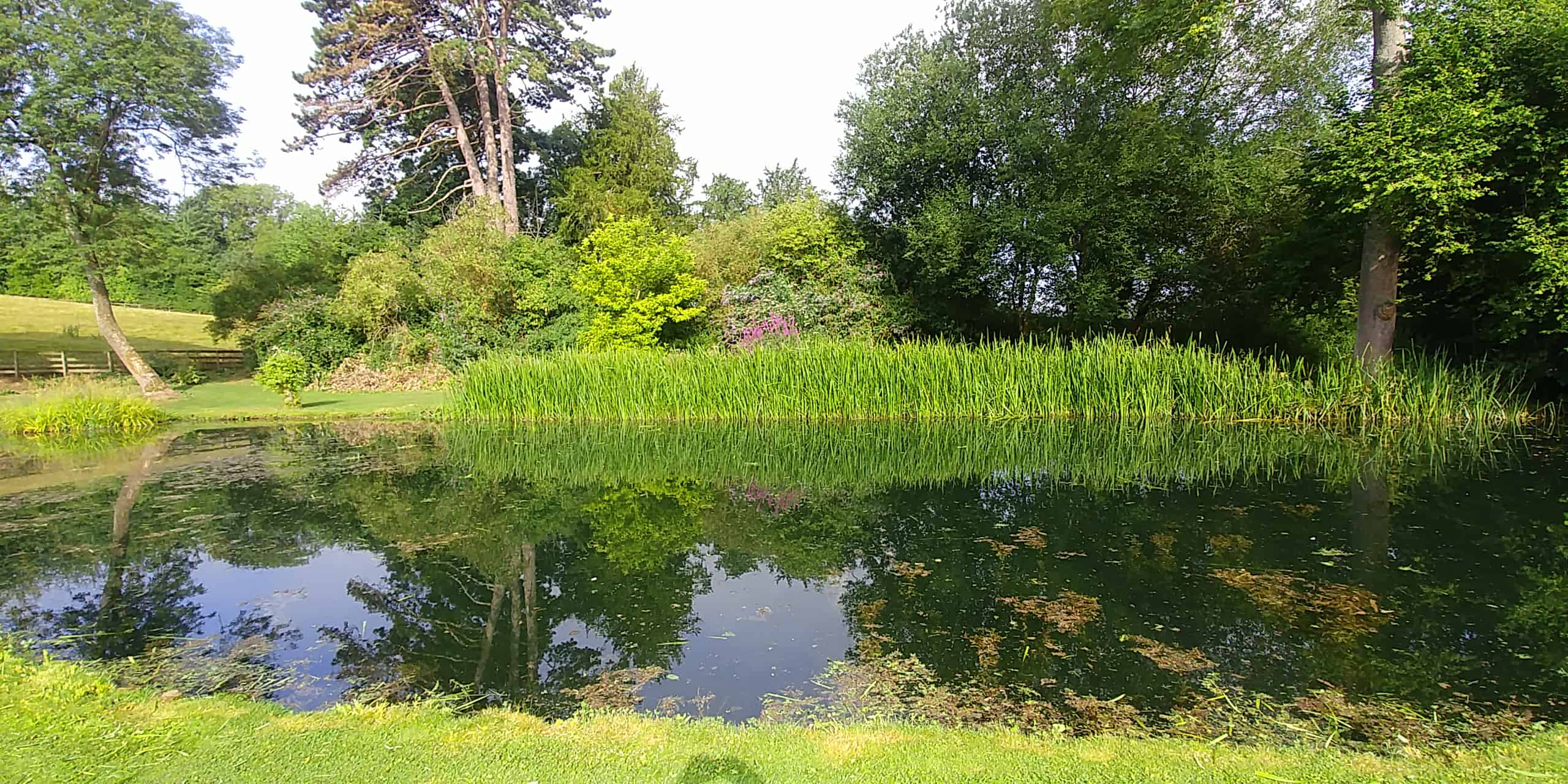 The pond and gardens at Wythall Estate, Ross-on-Wye England