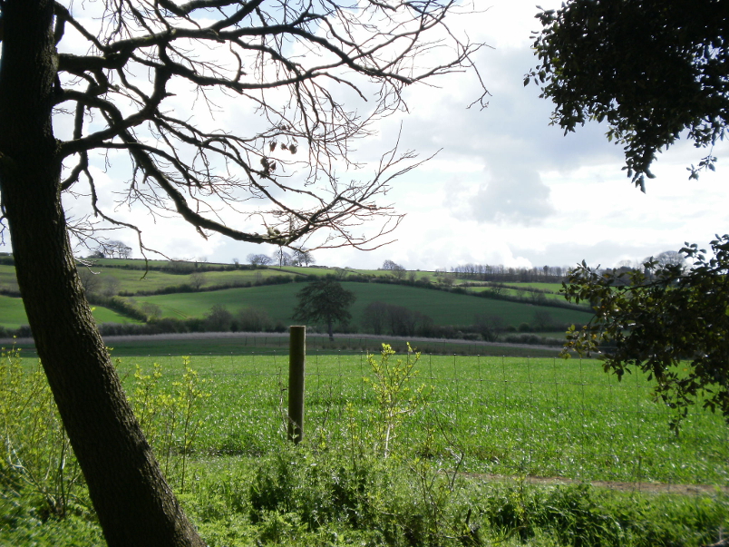 Vista from Hidcote Manor