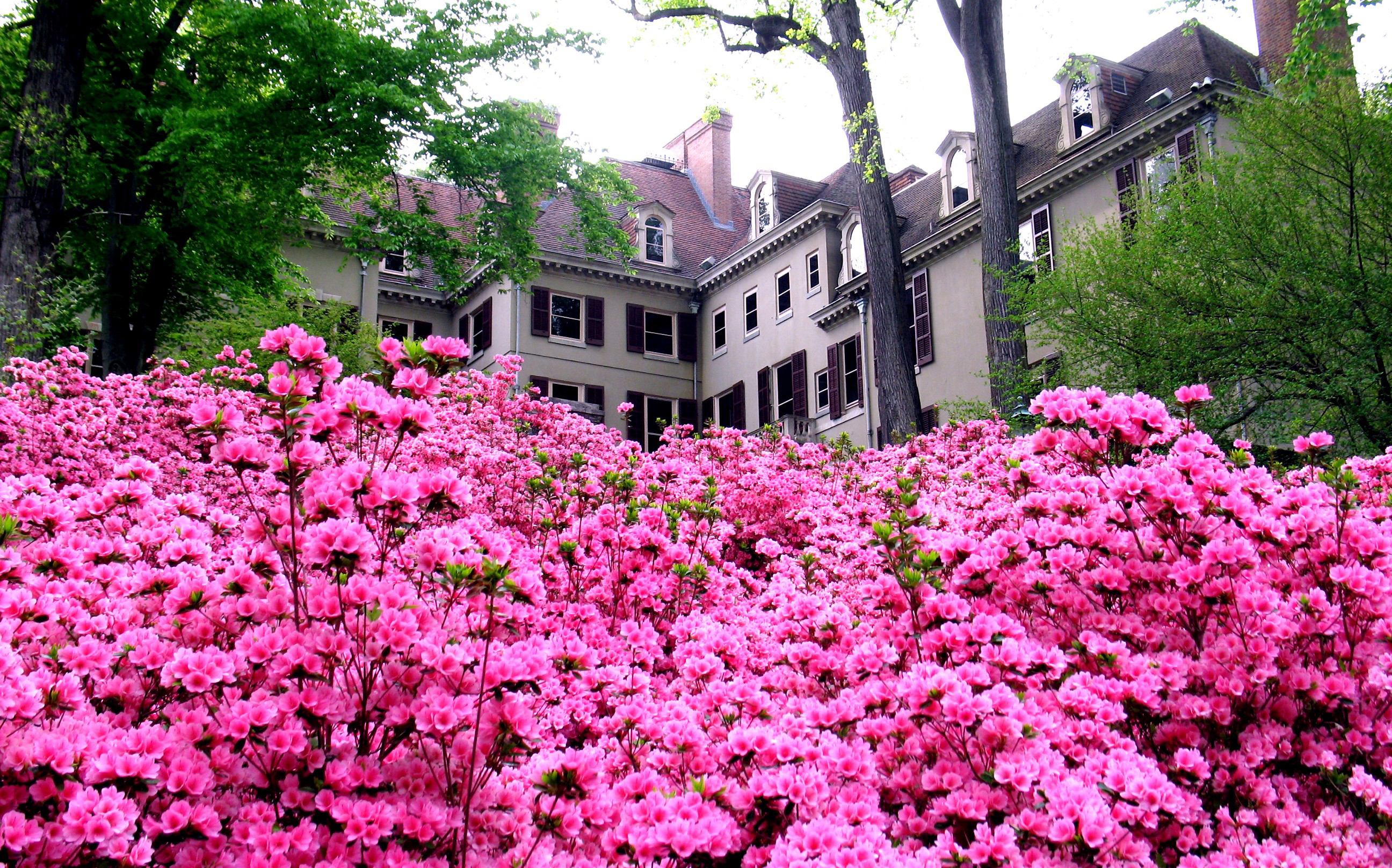 House with Blooms Winterthur Museum