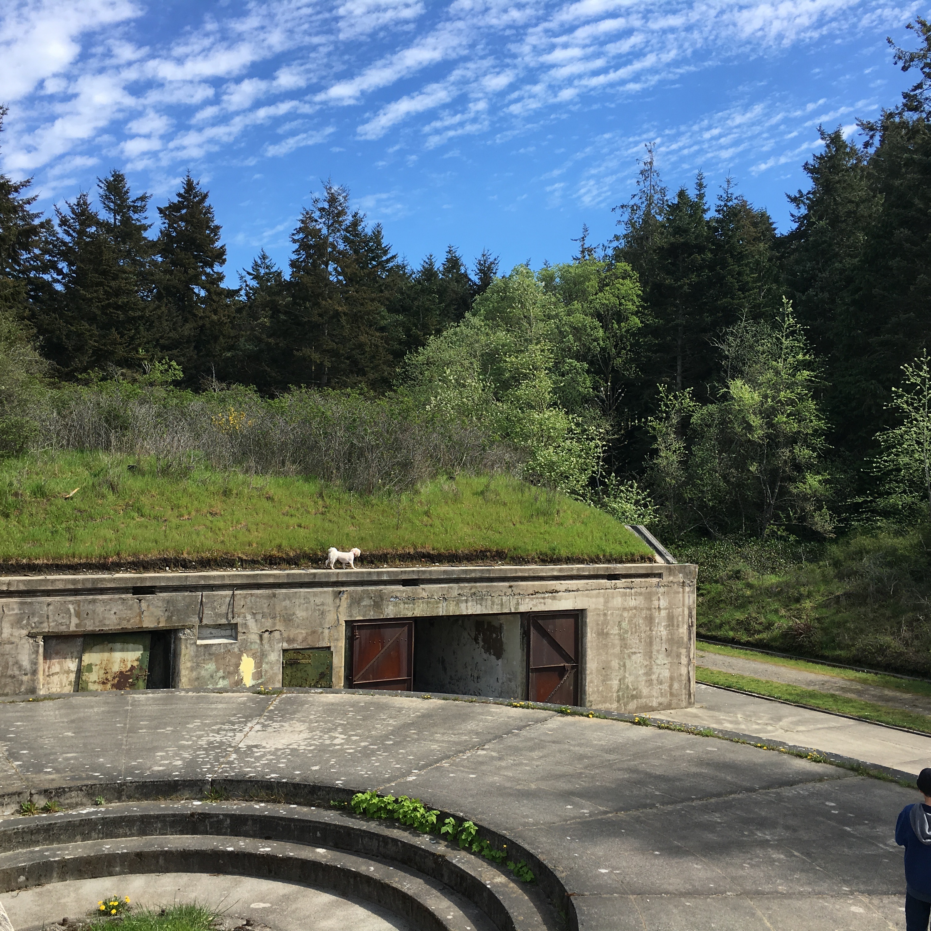 Bunkers at Fort Worden