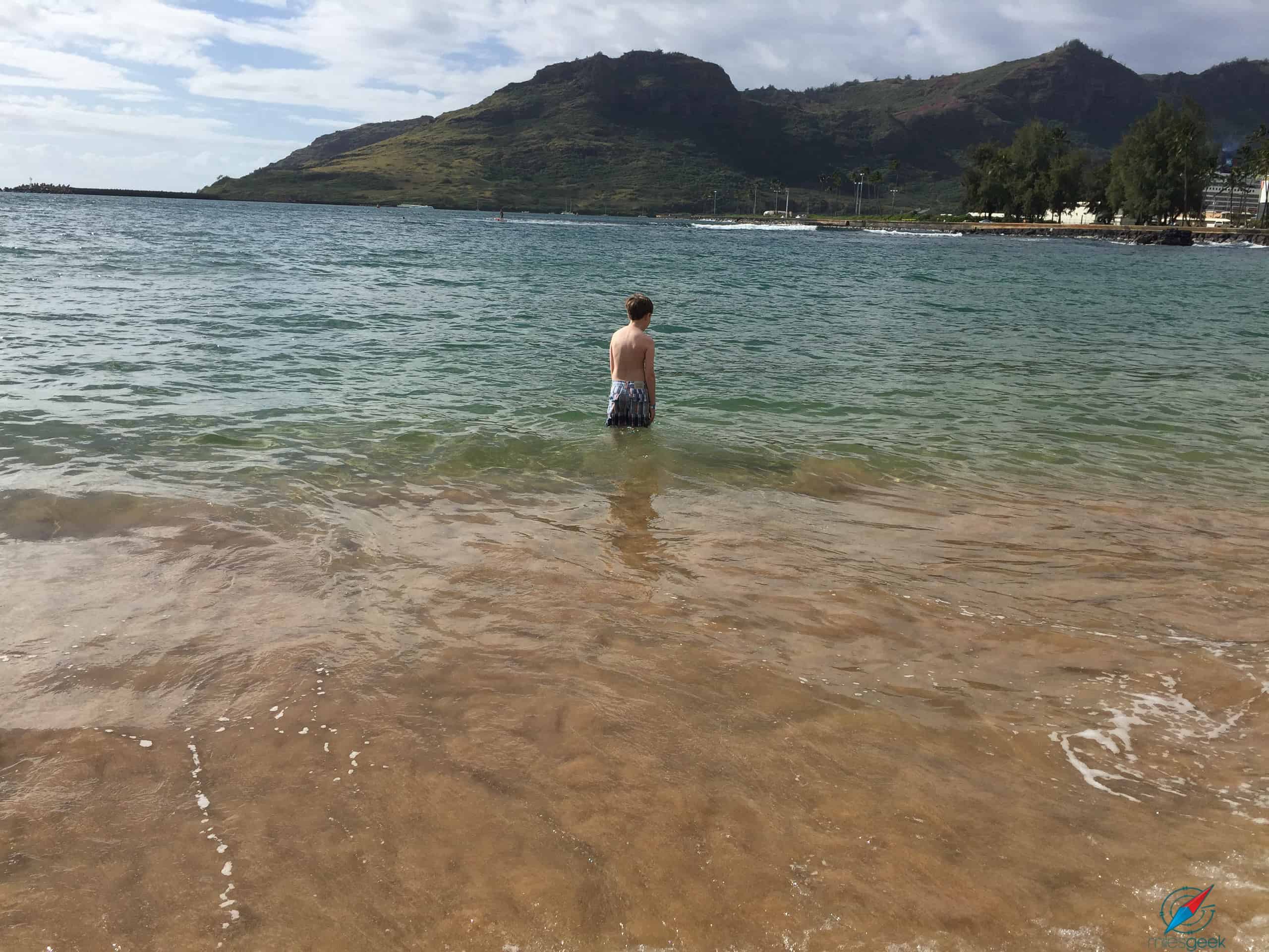 Milo at Kauai Marriott Beach
