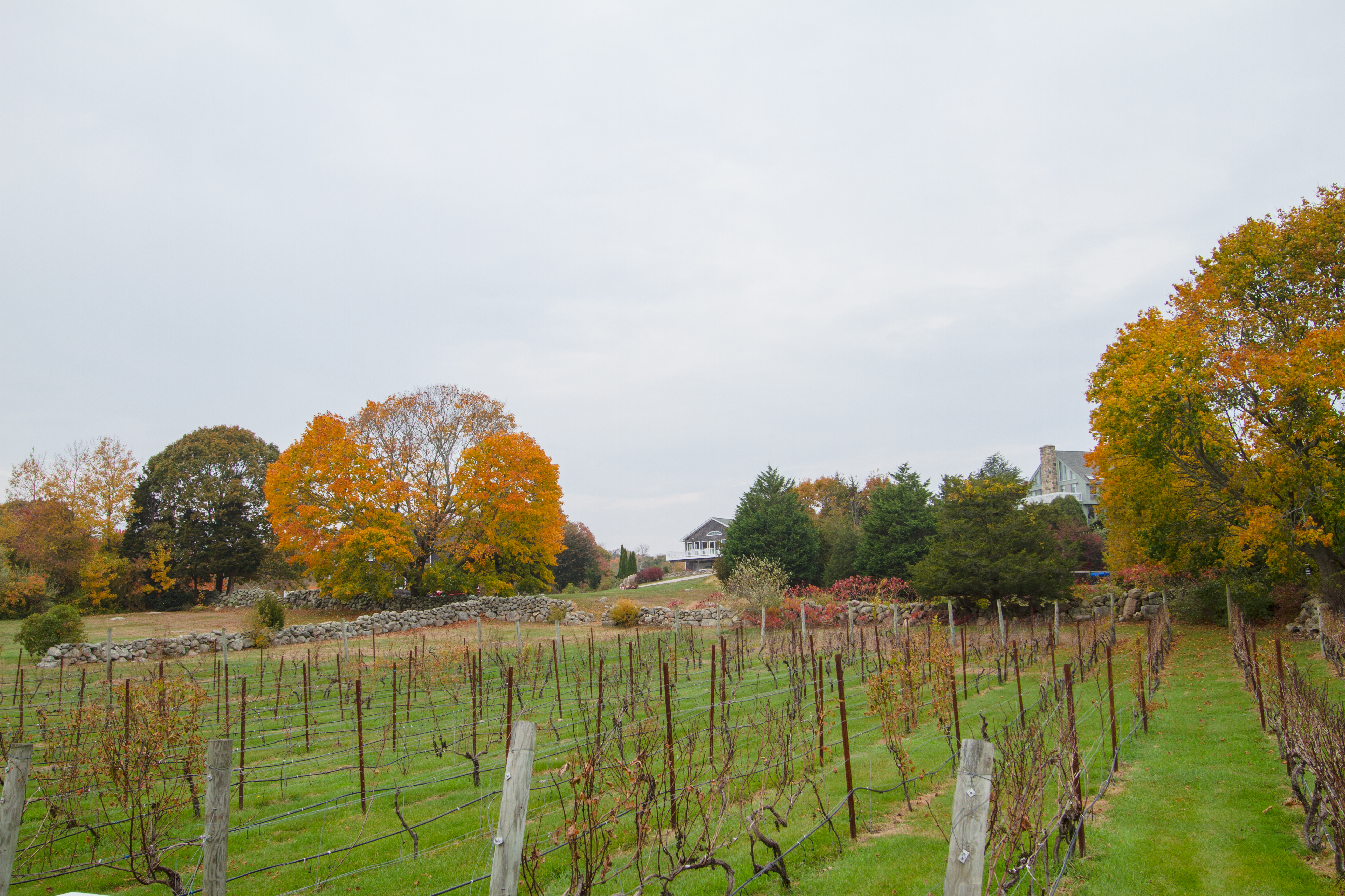 From the porch of Langworthy Farm Winery Tasting Room - The Coastal Wine Trail