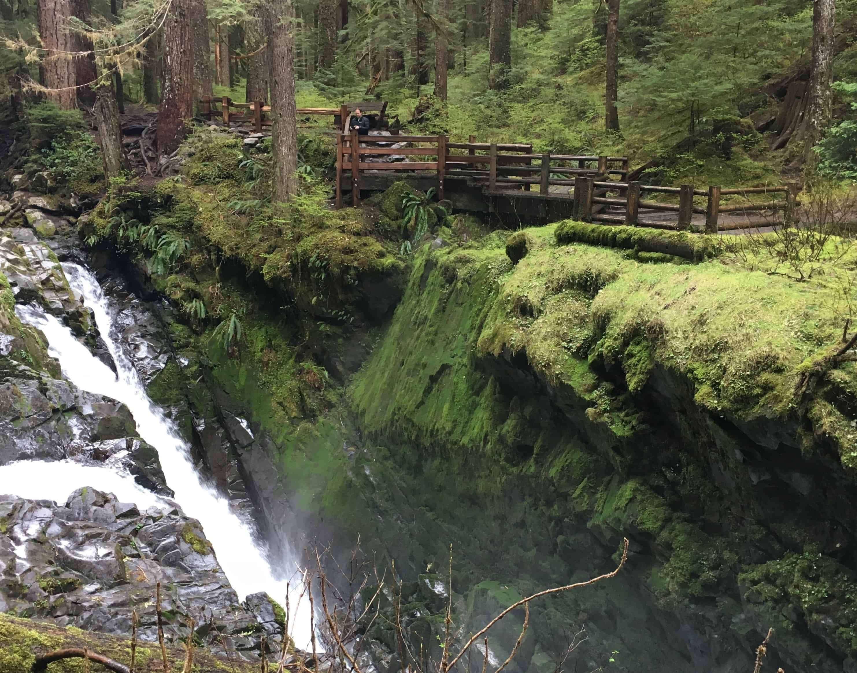 are dogs allowed at sol duc hot springs