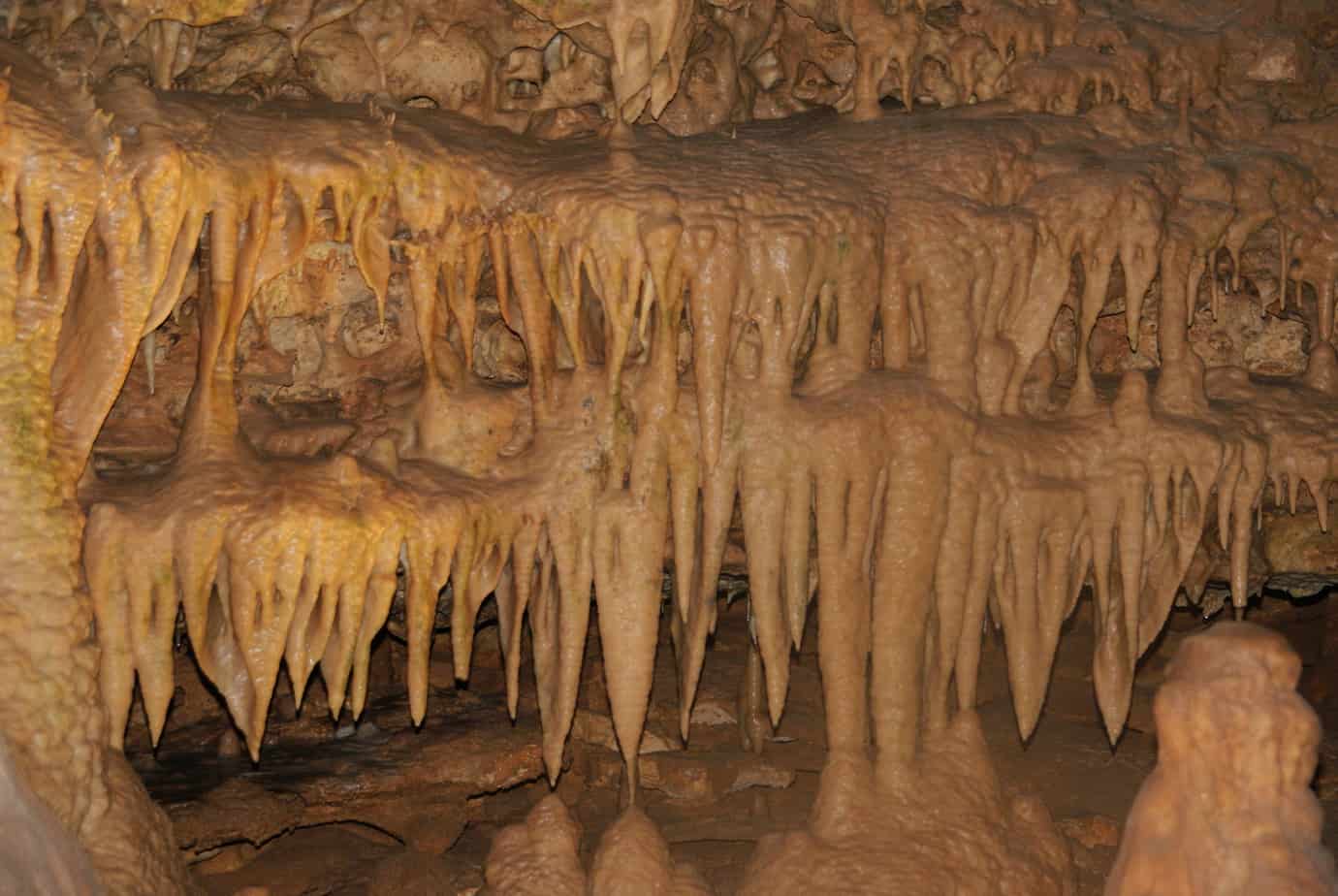 Inner Space Caverns Georgetown Texas