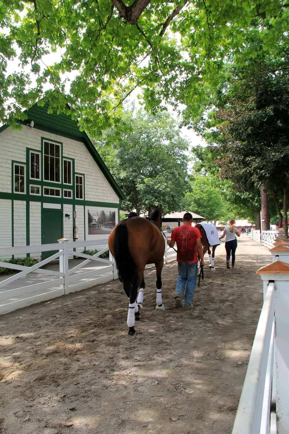 Leading Horses Saratoga Race Course
