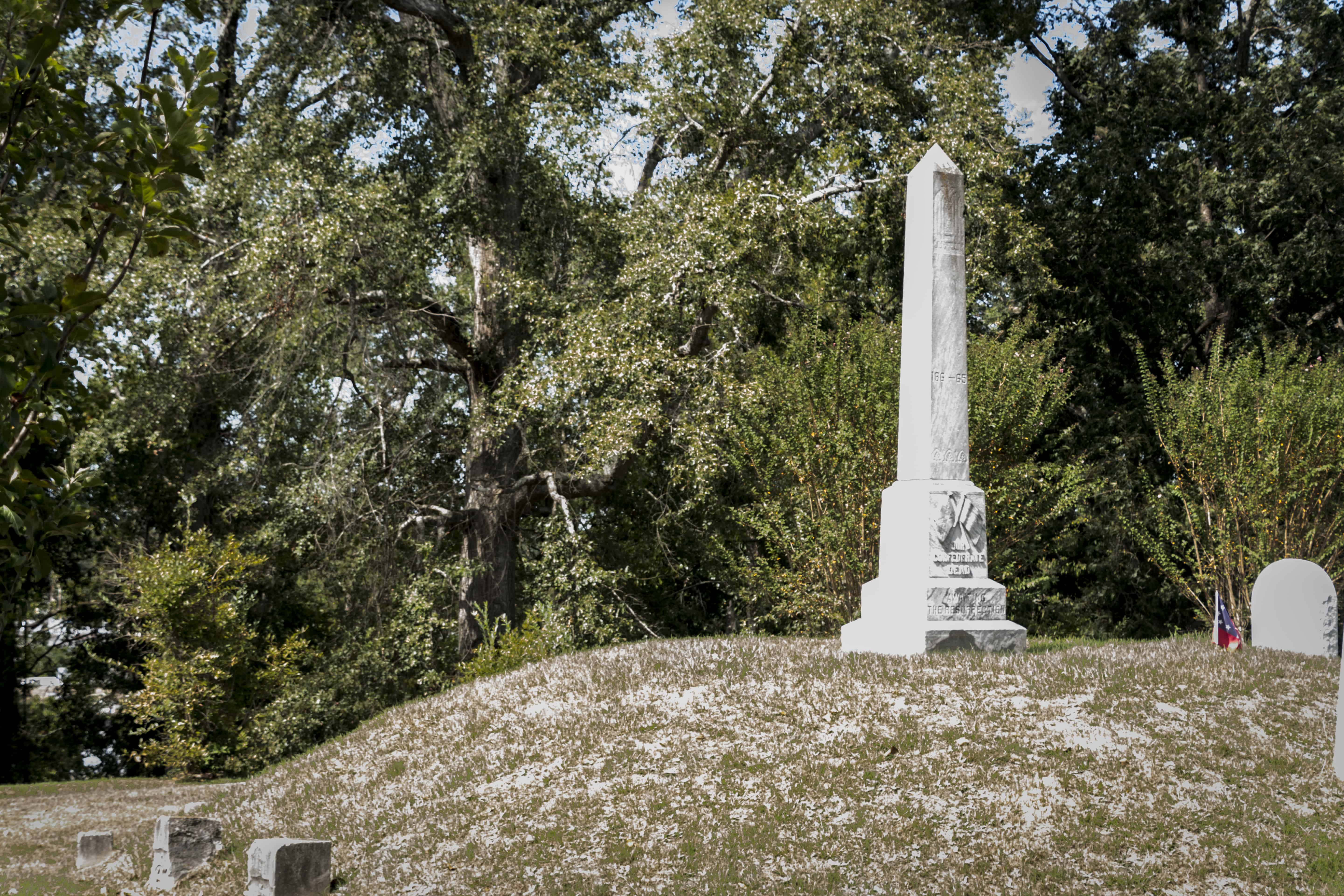 Meridian Roundup-Confederate Burial Mound